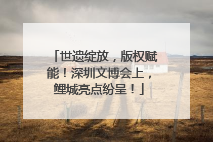 世遗绽放，版权赋能！深圳文博会上，鲤城亮点纷呈！