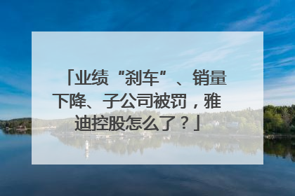 业绩“刹车”、销量下降、子公司被罚，雅迪控股怎么了？