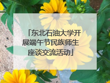 东北石油大学开展端午节民族师生座谈交流活动