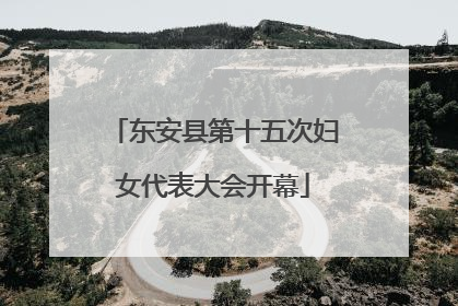 东安县第十五次妇女代表大会开幕