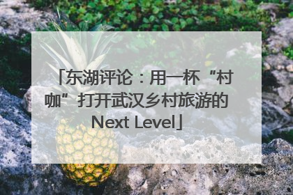 东湖评论：用一杯“村咖”打开武汉乡村旅游的Next Level
