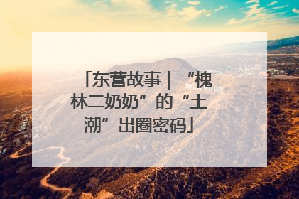 东营故事｜“槐林二奶奶”的“土潮”出圈密码