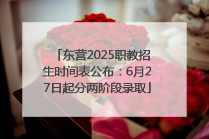 东营2025职教招生时间表公布：6月27日起分两阶段录取
