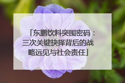 东鹏饮料突围密码：三次关键抉择背后的战略远见与社会责任
