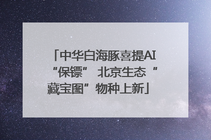 中华白海豚喜提AI“保镖” 北京生态“藏宝图”物种上新