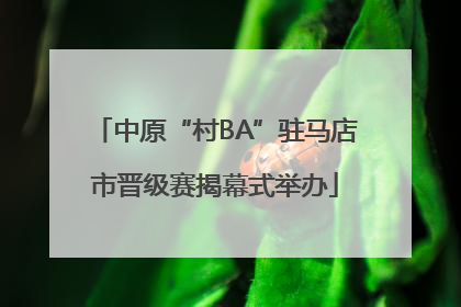 中原“村BA”驻马店市晋级赛揭幕式举办