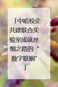 中哈校企共建联合实验室成就丝绸之路的“数字联姻”
