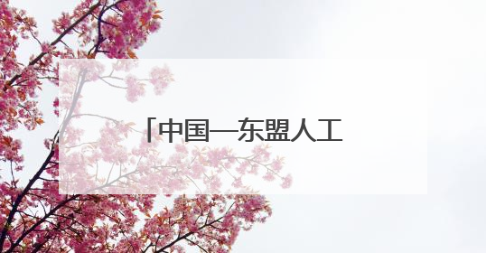 中国—东盟人工智能创新应用大赛在广西北海启动