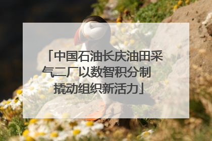 中国石油长庆油田采气二厂以数智积分制 撬动组织新活力