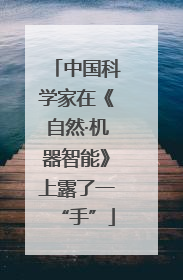 中国科学家在《自然·机器智能》上露了一“手”