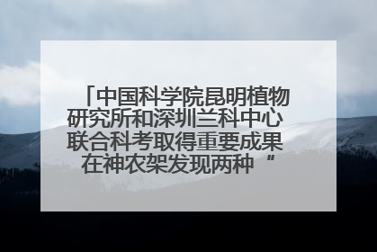 中国科学院昆明植物研究所和深圳兰科中心联合科考取得重要成果 在神农架发现两种“国保”级兰花