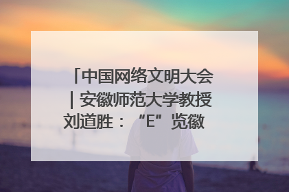 中国网络文明大会｜安徽师范大学教授刘道胜：“E”览徽风，构筑中华民族共有精神家园