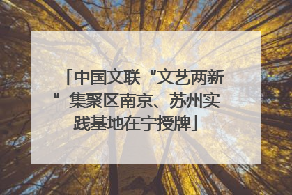 中国文联“文艺两新”集聚区南京、苏州实践基地在宁授牌
