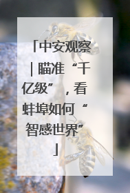 中安观察｜瞄准“千亿级”，看蚌埠如何“智感世界”