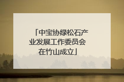 中宝协绿松石产业发展工作委员会在竹山成立