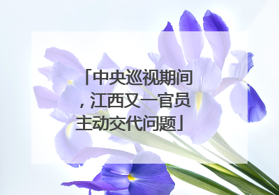 中央巡视期间，江西又一官员主动交代问题
