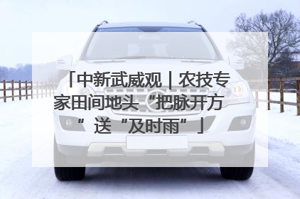 中新武威观｜农技专家田间地头“把脉开方”送“及时雨”
