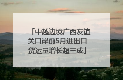 中越边境广西友谊关口岸前5月进出口货运量增长超三成