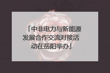 中非电力与新能源发展合作交流对接活动在岳阳举办
