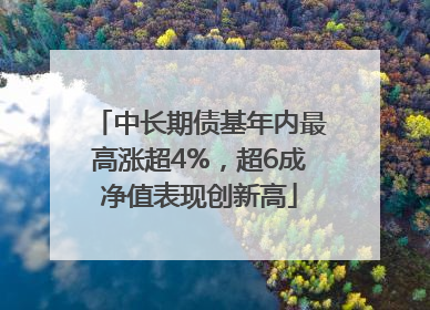 中长期债基年内最高涨超4%，超6成净值表现创新高