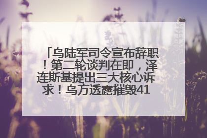 乌陆军司令宣布辞职！第二轮谈判在即，泽连斯基提出三大核心诉求！乌方透露摧毁41架俄战略轰炸机