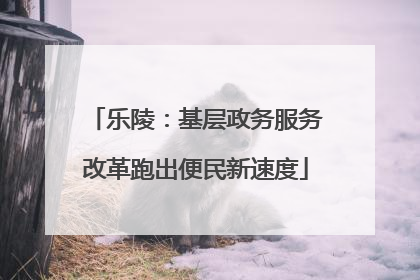 乐陵：基层政务服务改革跑出便民新速度