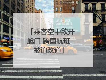 乘客空中欲开舱门 跨国航班被迫改道
