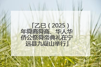 乙巳（2025）年舜裔舜商、华人华侨公祭舜帝典礼在宁远县九嶷山举行