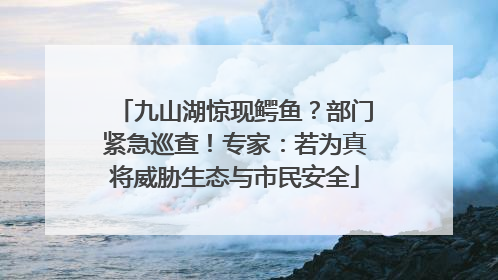九山湖惊现鳄鱼？部门紧急巡查！专家：若为真将威胁生态与市民安全