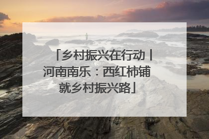 乡村振兴在行动丨河南南乐：西红柿铺就乡村振兴路