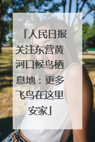 人民日报关注东营黄河口候鸟栖息地：更多飞鸟在这里安家