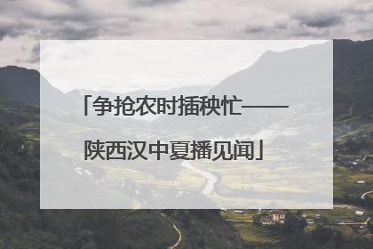 争抢农时插秧忙——陕西汉中夏播见闻