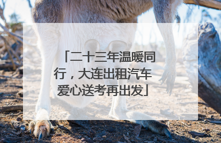 二十三年温暖同行，大连出租汽车爱心送考再出发