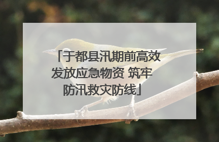 于都县汛期前高效发放应急物资 筑牢防汛救灾防线