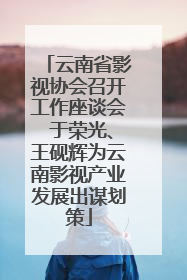 云南省影视协会召开工作座谈会 于荣光、王砚辉为云南影视产业发展出谋划策