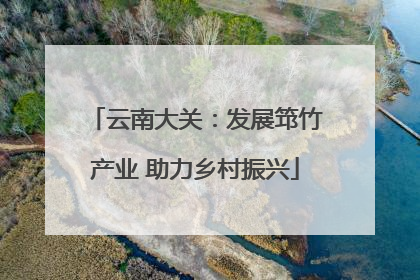 云南大关：发展筇竹产业 助力乡村振兴