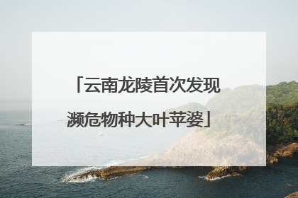 云南龙陵首次发现濒危物种大叶苹婆