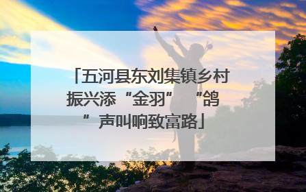 五河县东刘集镇乡村振兴添“金羽” “鸽”声叫响致富路
