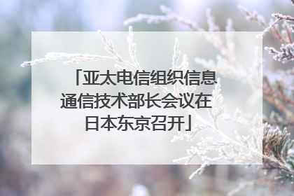 亚太电信组织信息通信技术部长会议在日本东京召开