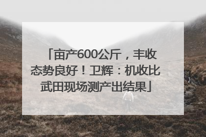 亩产600公斤，丰收态势良好！卫辉：机收比武田现场测产出结果