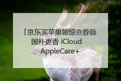 京东买苹果领惊喜券叠国补更香 iCloud、AppleCare+服务限时低至85折