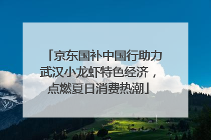 京东国补中国行助力武汉小龙虾特色经济，点燃夏日消费热潮