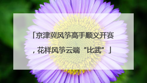 京津冀风筝高手顺义开赛，花样风筝云端“比武”