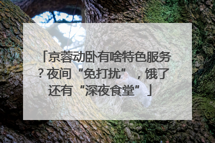京蓉动卧有啥特色服务？夜间“免打扰”，饿了还有“深夜食堂”