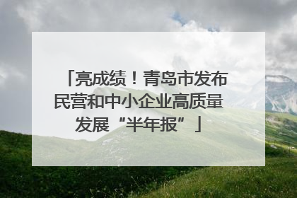 亮成绩！青岛市发布民营和中小企业高质量发展“半年报”