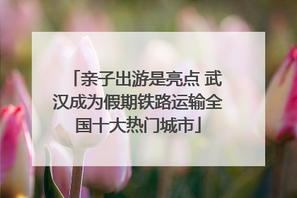 亲子出游是亮点 武汉成为假期铁路运输全国十大热门城市