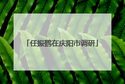 任振鹤在庆阳市调研