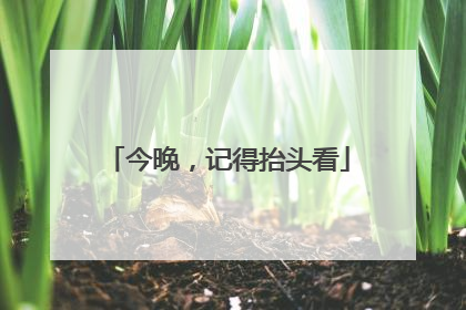 今晚，记得抬头看
