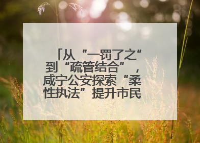 从“一罚了之”到“疏管结合”，咸宁公安探索“柔性执法”提升市民出行体验