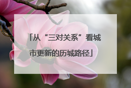 从“三对关系”看城市更新的历城路径